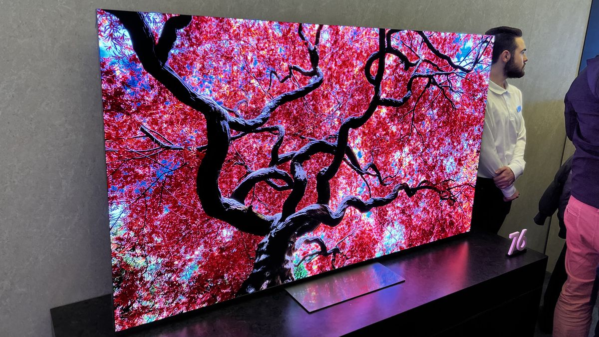 The 9 hottest TVs of 2024 I saw at CES, from OLED to microLED to see