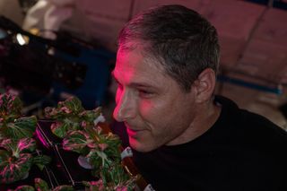 NASA astronaut Mike Hopkins smells plants growing aboard the International Space Station.