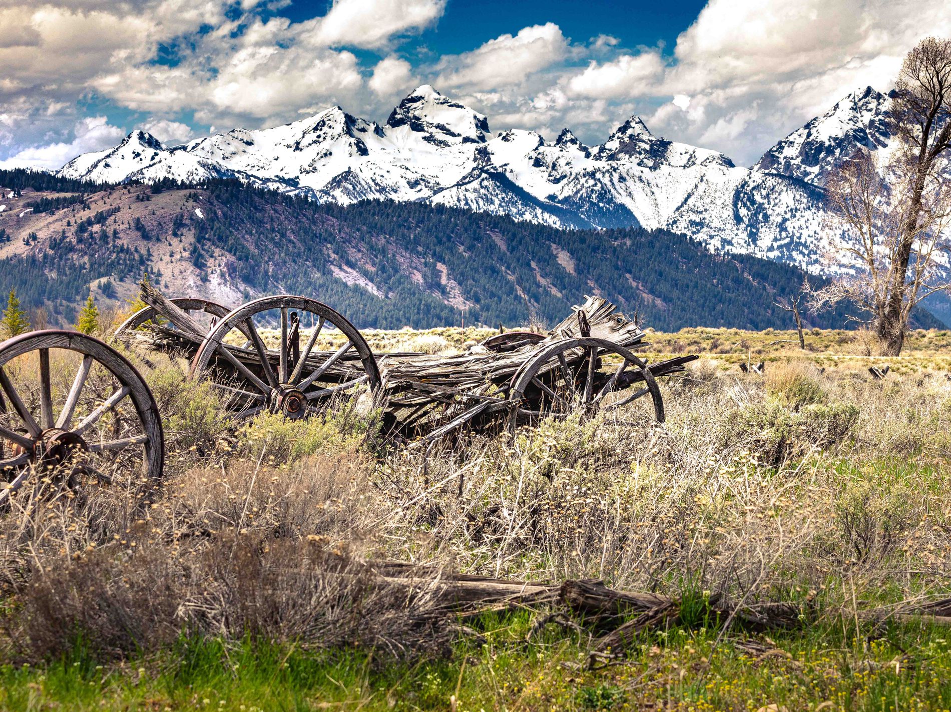 GuruShots - March 2026