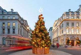 A magnificent Christmas tree in London, surrounded by a moving bus and large, ornate buildings.