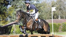 William Fox-Pitt and Oslo winning Pau 2011