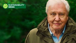 David Attenborough in the poster for A Life on Our Planet (2020)
