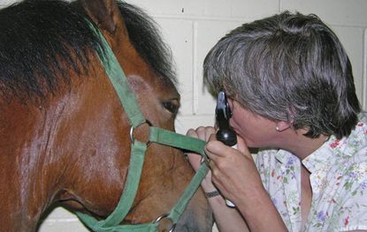 checking-eye.jpg