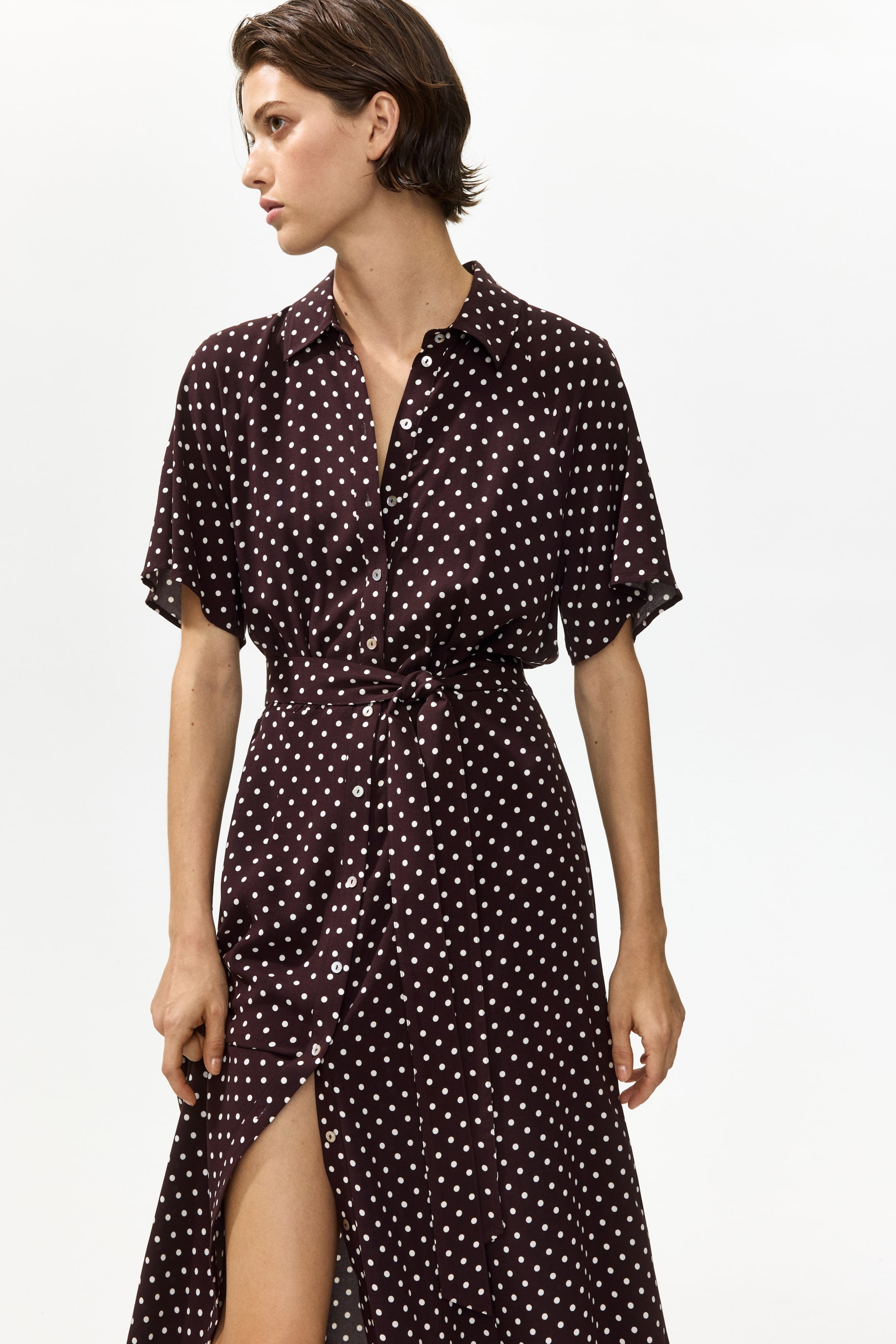 Tie-Belt Shirt Dress