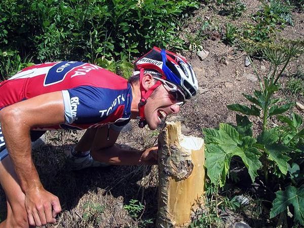 Our resident Bear Grylls showing us how the Beaver chews down trees.