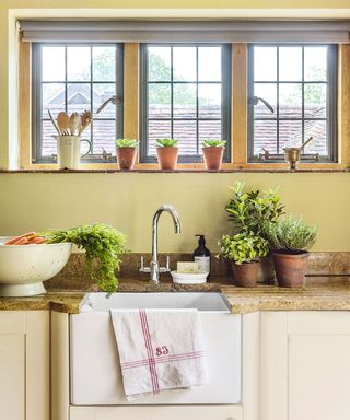Kitchen Feng Shui with herb planters