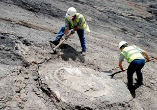 Paleontologists unearth the carapace of the giant turtle, Puentemys, which lived 60 million years ago in a hot tropical forest environment.