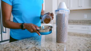 Owner filling bowl from one of the best pet food containers