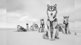 © Cristina Mittermeier