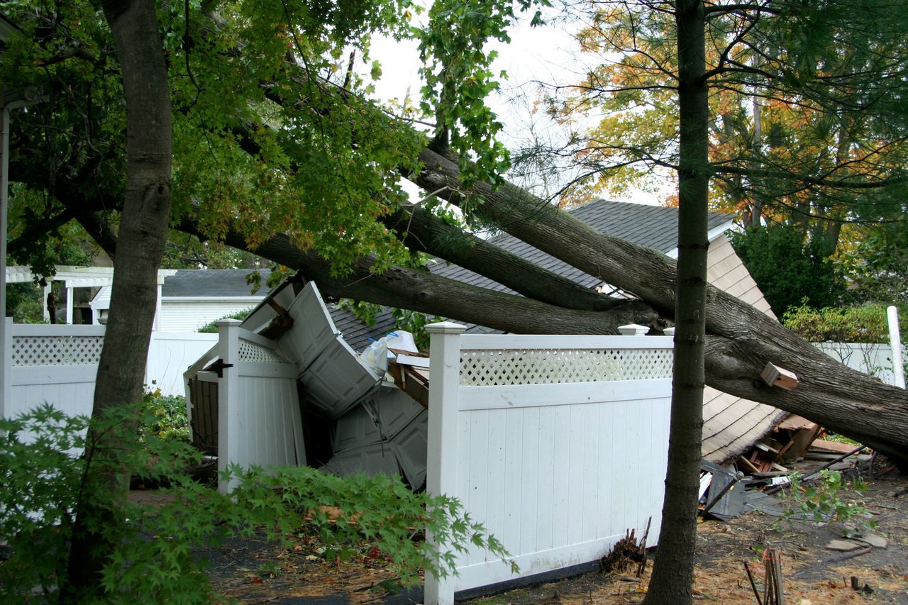 Tree falls on property during hurricane Sandy