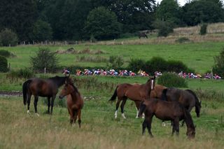 The peloton on the fifth stage of the Tour de France Femmes 2024