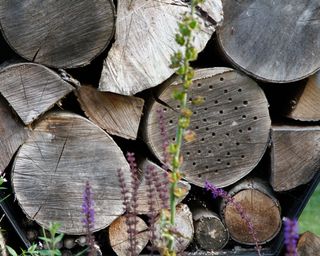 bug hotel created from a log pile as a wildlife garden idea