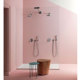 shower fixtures and fittings in pink bathroom