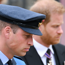 Prince William, Prince of Wales and Prince Harry, Duke of Sussex during the State Funeral of Queen Elizabeth II at Westminster Abbey on September 19, 2022 in London, England.