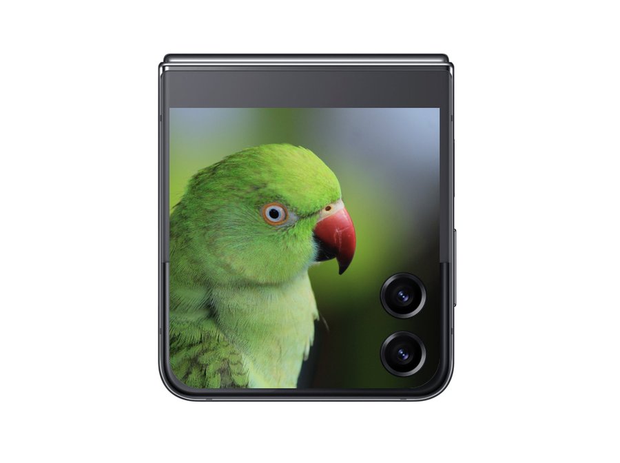 Samsung Galaxy Z Flip 5 Cover Display rendern