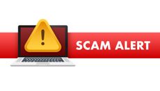 Laptop with a warning sign and letters that spell SCAM ALERT