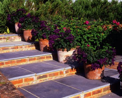 Sloping gardens: design ideas and landscaping tips | Real Homes