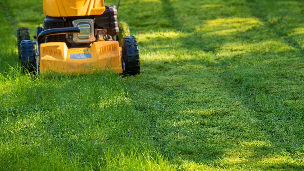 mowing a lawn