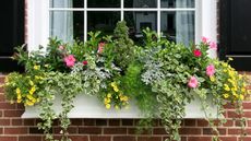 a window box with flowers and ivy