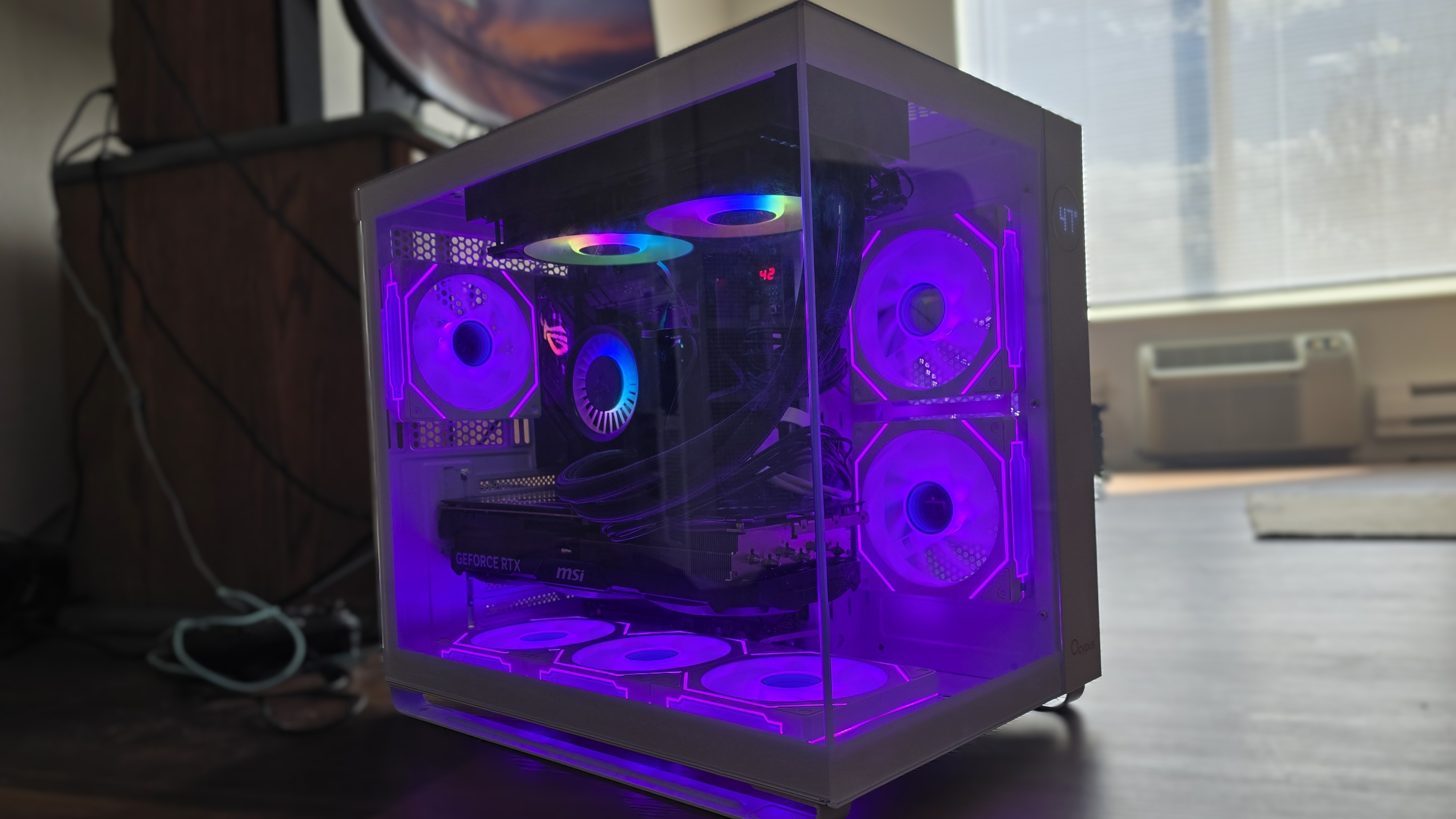 Ocypus Iota C7