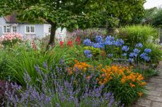 Beautiful mixed garden borders