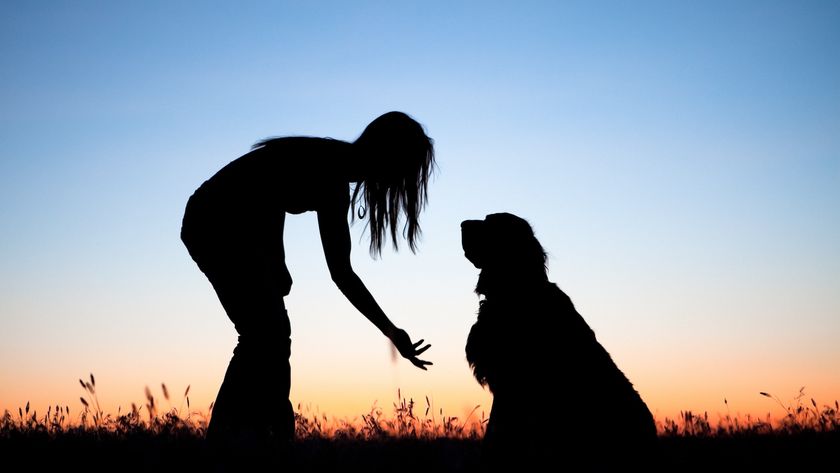 the silhouette of a woman crouching down to her dog with a sunset in the background