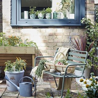 garden area with vegetable plants and blue window