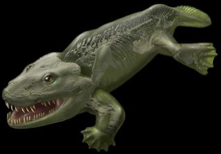 A fleshed-out reconstruction of the early tetrapod Ichthyostega. The flesh is semi-transparent so the skeleton is visible underneath.