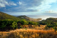 Cabot St Lucia. Credit: Jacob Sjoman