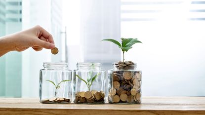 picture of person putting coins in jars with plants growing in them