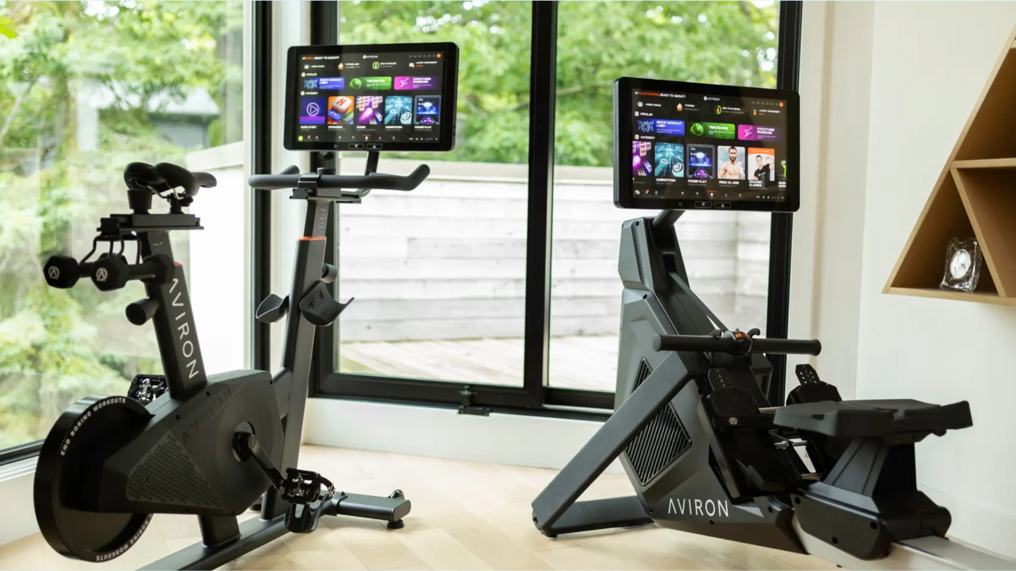 Aviron exercise bikes in living room