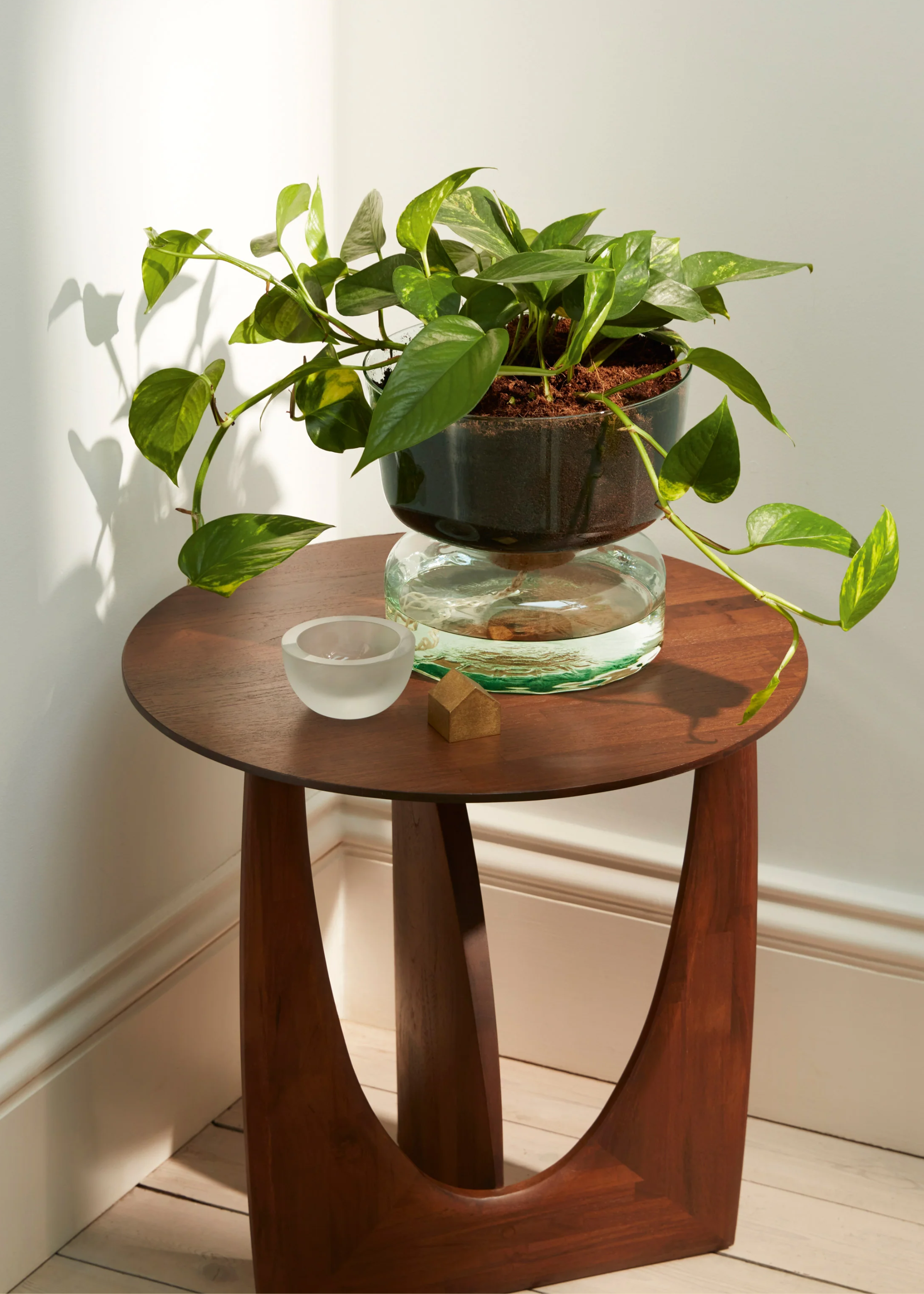 A glass self-watering planter from LSA International
