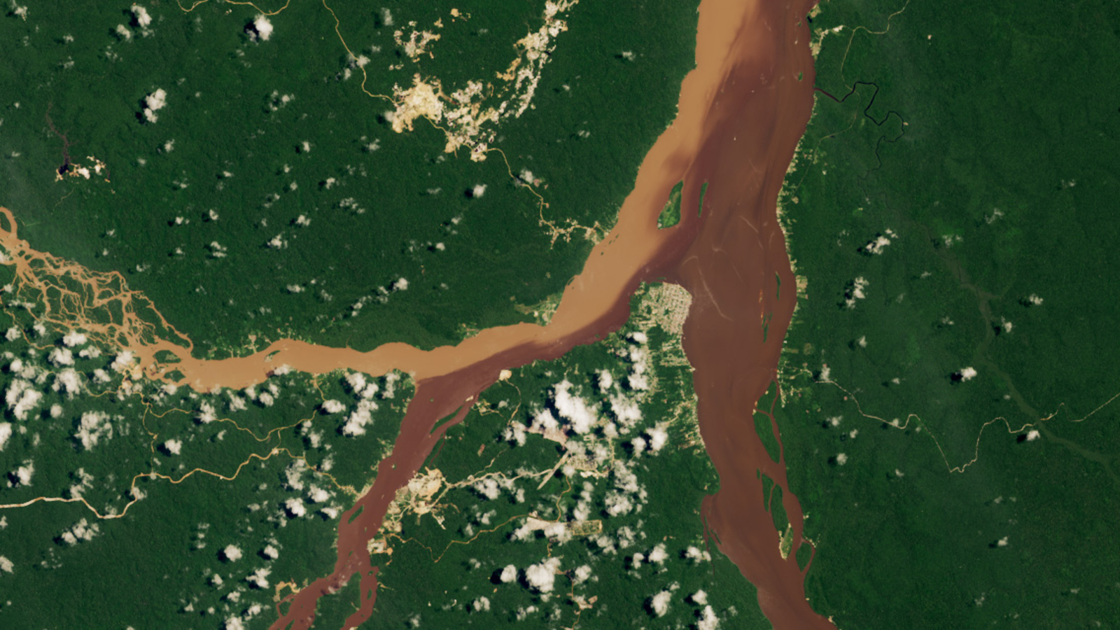 A satellite photo of three rivers merging in a rainforest with two distinct shade of brown
