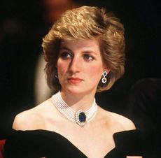 rewear - princess diana