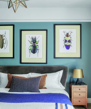 bedroom with blue walls and beetle prints