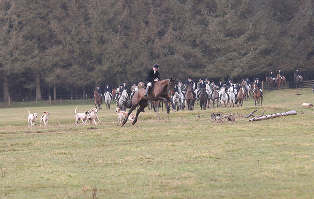 Lauderdale master and hunstman Tim Coulson looks like he is jumping an invisible fence however if you look closely you can see there is a ditch