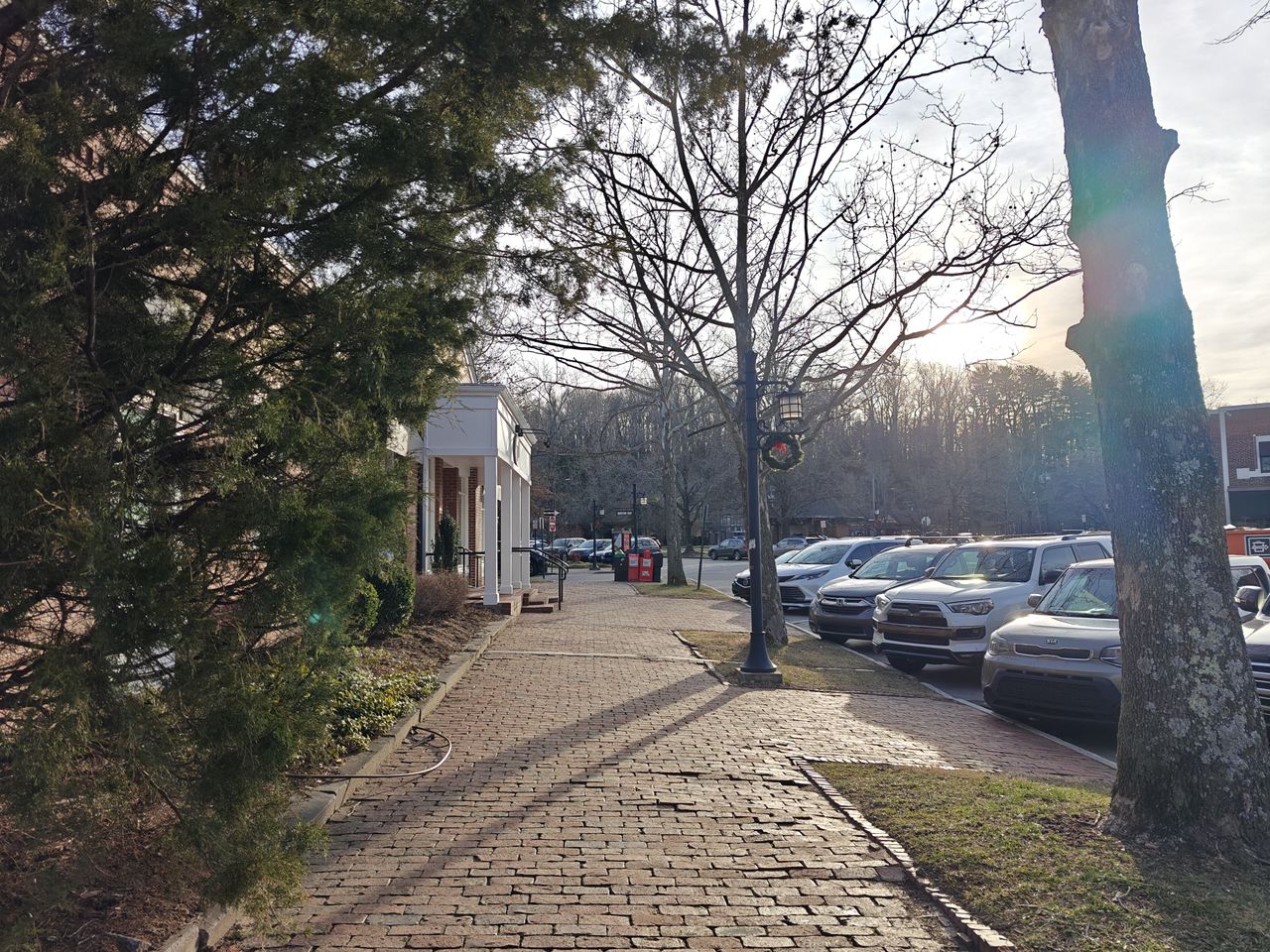 OnePlus 12 main camera sample
