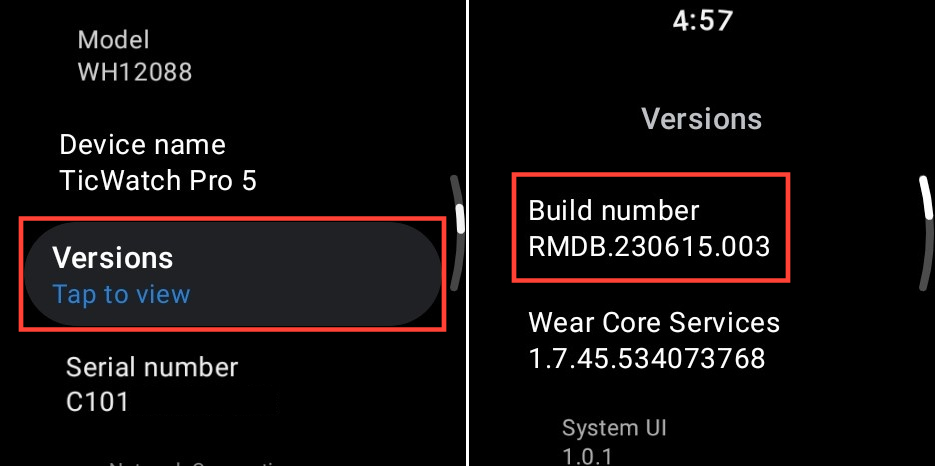 Habilite as opções do desenvolvedor no TicWatch Pro 5