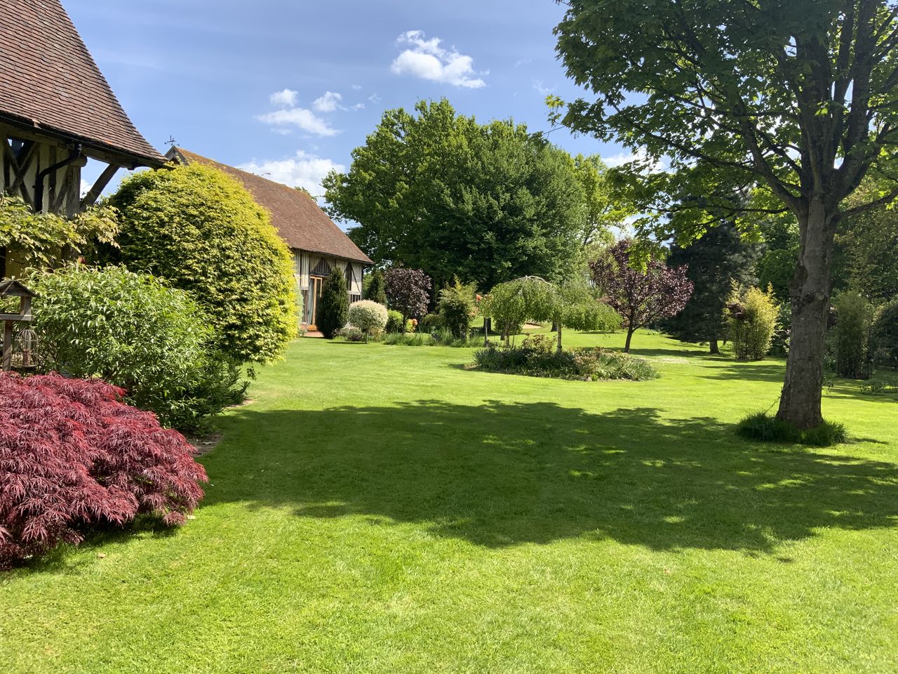 A well-kept garden