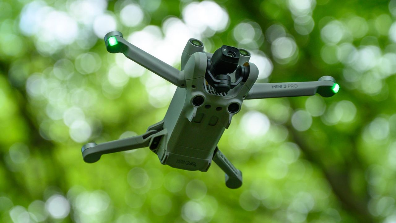 DJI Mini 3 Pro flying in a forest with bluebells