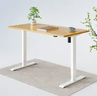 Seiffen Laminated Standing Desk: was $309 now $199 @ FlexiSpot