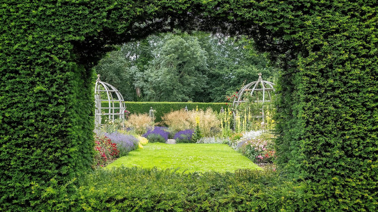 hedge window in large garden