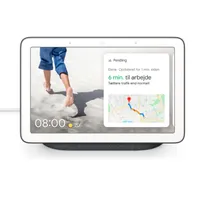 Google Nest Hub