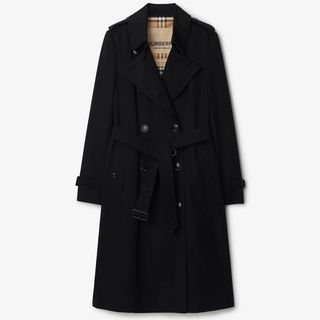 Cut out image of a black burberry trench coat