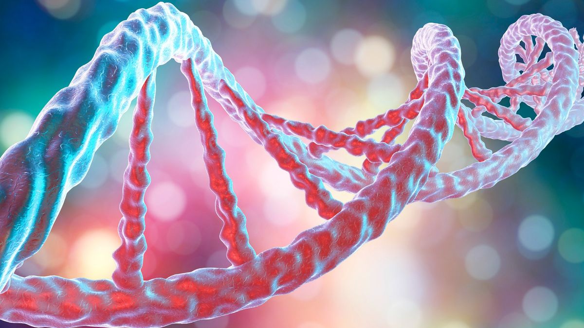 An artist&#039;s impression of a DNA molecule.