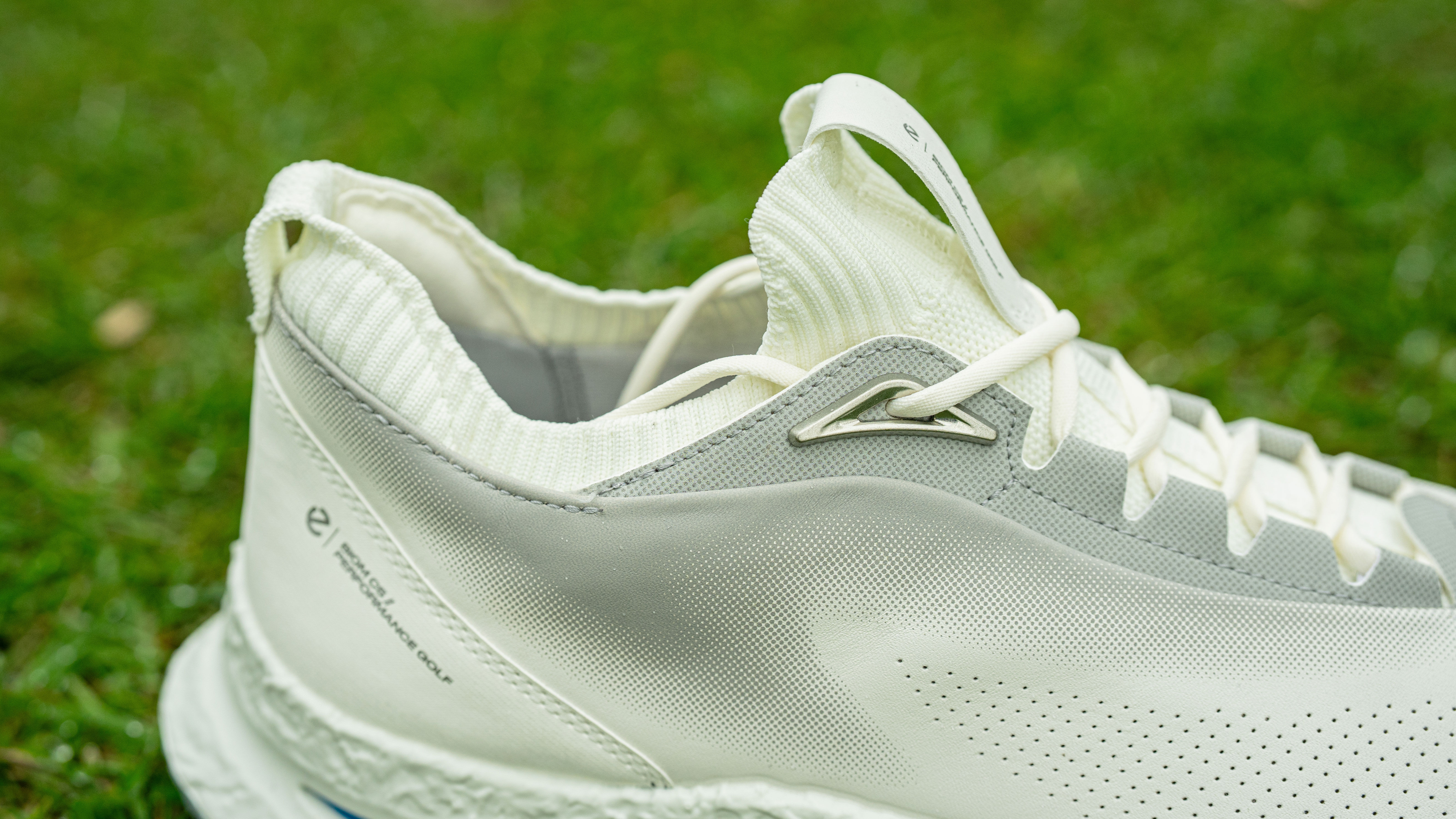 Ecco Biom C5 Golf Shoe Review