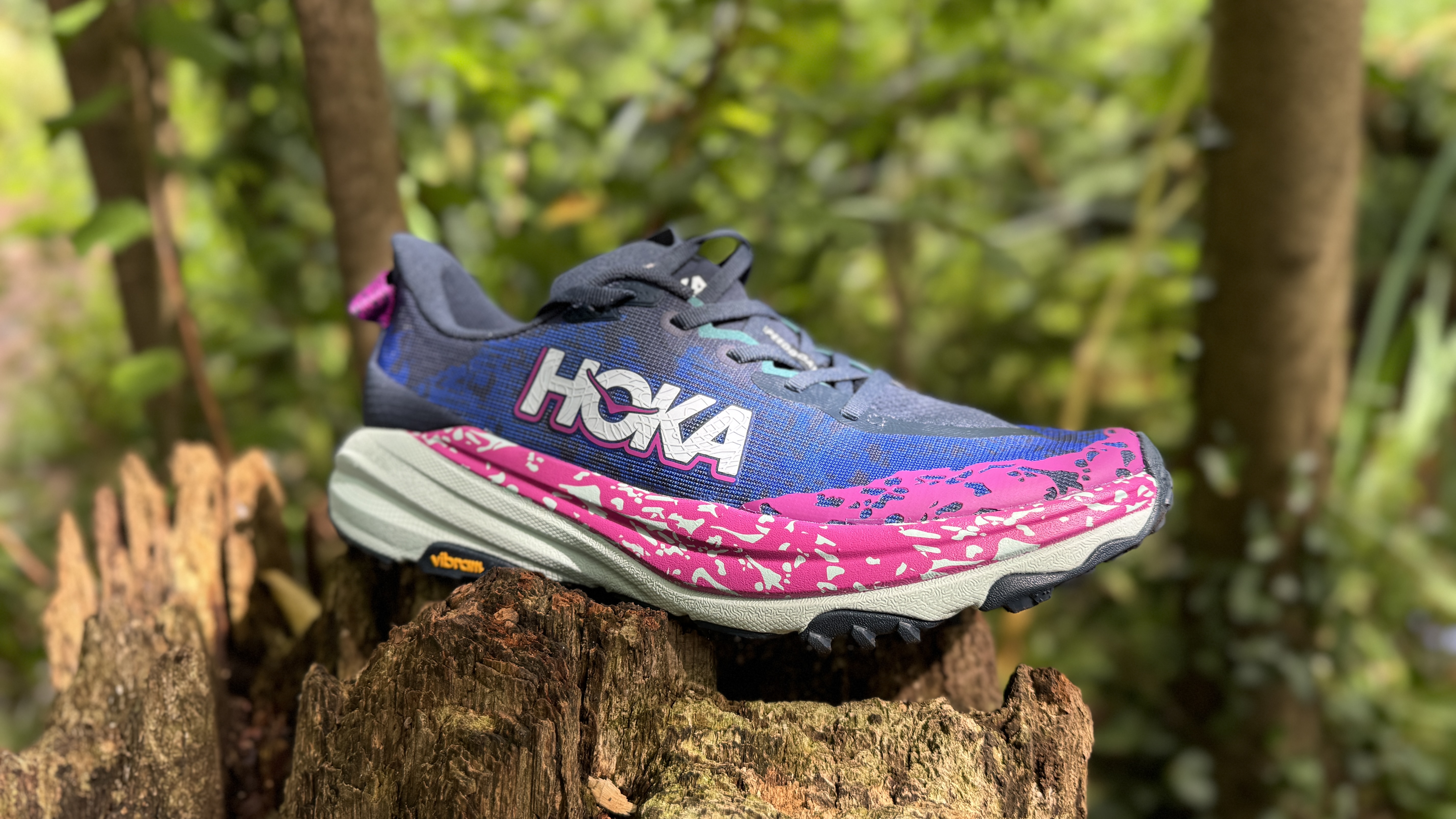 Hoka Speedgoat 6 Review