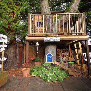 treehouse with garden and plants