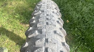 Detailed view of the Schwalbe Racing Ralph MTB tire