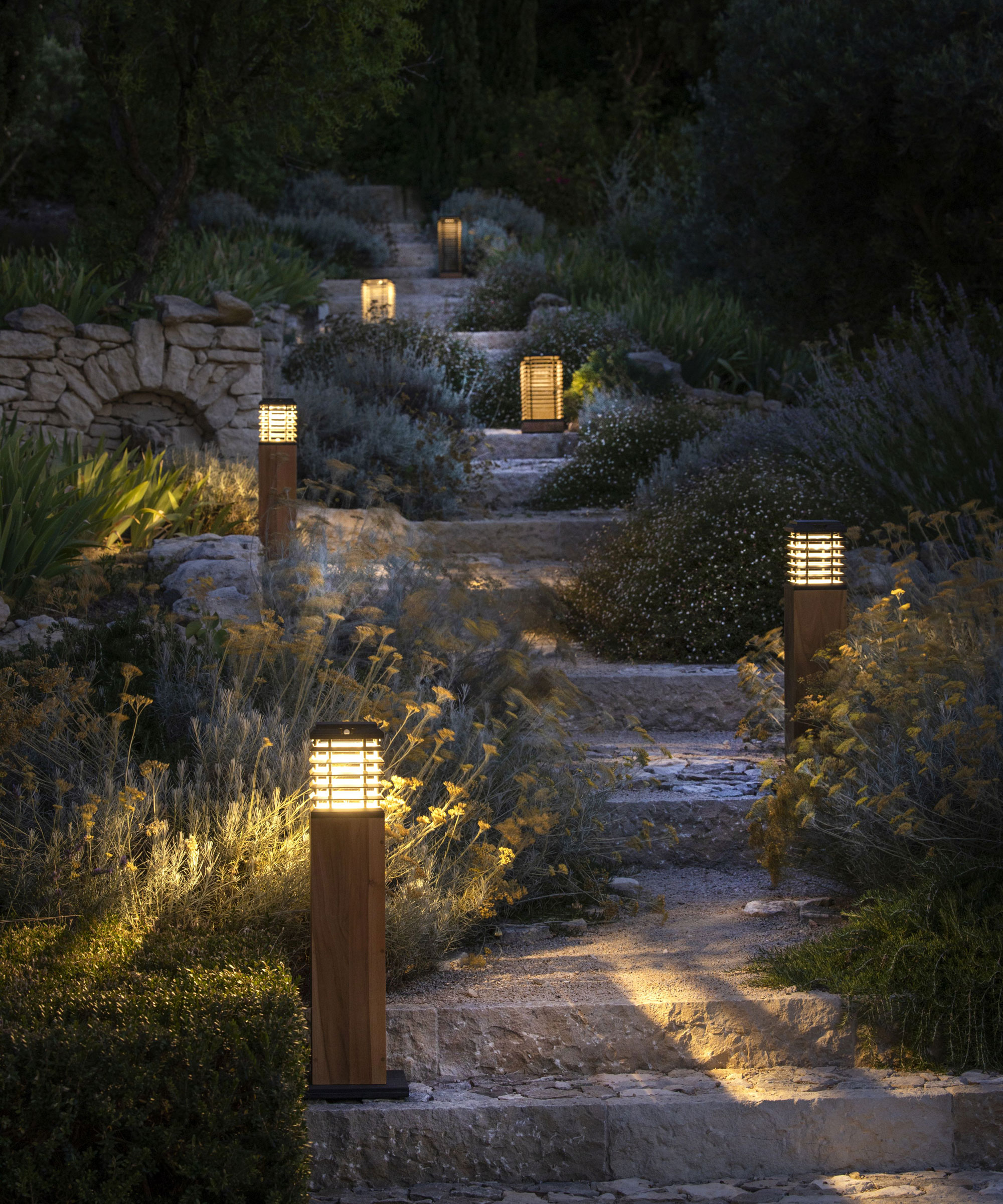 garden path and steps with plants and garden lights